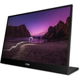 Lenovo M16(A25160WX0), LED-skærm Sort