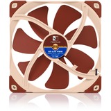 Noctua NF-A14 PWM Computerkabinet Ventilator 14 cm Brun, Sag fan Ventilator, 14 cm, 300 rpm, 1500 rpm, 24,6 dB, 140,2 m³/t