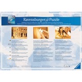 Ravensburger RAV Puzzle Märchenschloss in 4 Jahresz.| 16137 18000 stk, Puslespil 18000 stk, 14 År