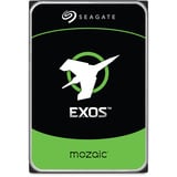 Seagate Exos M 32 TB, Harddisk 