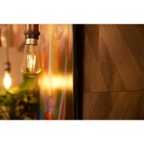 Shelly LED-lampe 