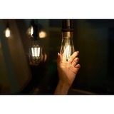 Shelly Vintage ST64, LED-lampe 