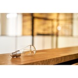 Shelly Vintage ST64, LED-lampe 