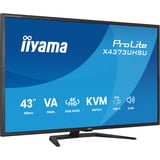 iiyama ProLite X4373UHSU-B2, LED-skærm Sort (mat)