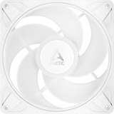 ARCTIC P14 Pro Reverse A-RGB, Sag fan Hvid