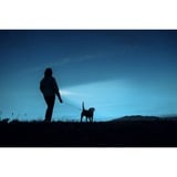 Ansmann Daily Use 150B, Lommelygte Sølv/Sort