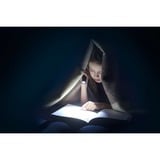 Ansmann Daily Use 150B, Lommelygte Sølv/Sort