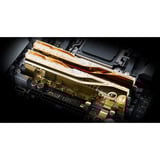 G.Skill F5-6000J2636H24GX2-TR5NG, Hukommelse Guld