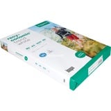 Inapa 2100011087, Papir 