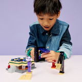 LEGO 21584, Bygge legetøj 