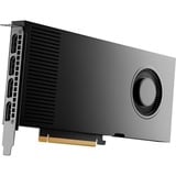 PNY NVIDIA RTX 4000 Ada Generation 20GB SB, Grafikkort Detail
