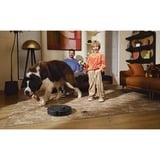 Roborock Qrevo MaxV 0,33 L Sort, Støvsuger robot Sort, Poseløs, Sort, Rund, Støvpose, 0,33 L, Opladning, Purification