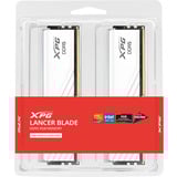 ADATA DIMM 48 GB DDR5-6000 (2x 24 GB) Dual-Kit, Hukommelse Hvid