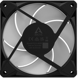 ARCTIC BioniX P14 A-RGB, Sag fan Sort/Hvid