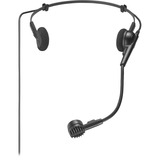 Audio-Technica PRO8HEX, Headset Sort