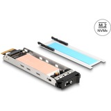 DeLOCK Delock Wechselrahmen Einschub 1 x M.2 NMVe SSD für 47028 