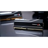 G.Skill F5-8000J4048G24GX2-TZ5NR, Hukommelse Sort