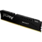 Kingston FURY KF556C36BBE-16, Hukommelse Sort