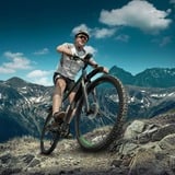 Nevox BIKEFLEX cykelholder, Mount Sort