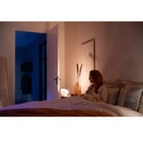 Philips Hue White & Color Ambiance Iris Bordlampe Special Edition, LED lys Hvid
