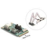 DeLOCK Mini PCIe I/O PCIe, 2x Seriel RS-232, Interface card 
