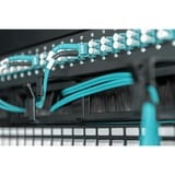 Digitus DN-97663 tilbehør til rack Kabelbakkepanel, Kabelføring Sort, Kabelbakkepanel, Sort, Stål, 1U, 19", Tyrkiet