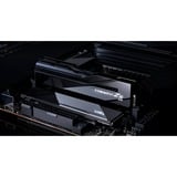 G.Skill F5-8200C4052G24GX2-TZ5CK, Hukommelse Sort