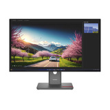 Lenovo ThinkVision P32UD-40, LED-skærm Sort