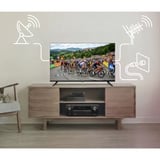 Medion LIFE MD 840003 med DVD-afspiller, LED-tv Sort