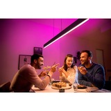 Philips Hue Ensis pendel, LED lys Sort, Philips Hue White and Color ambiance Ensis pendel, Intelligent affjedringslys, Sort, Bluetooth, LED, Ikke-udskiftelig pære(r), Variabel