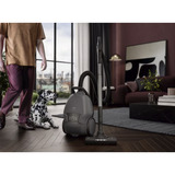 AEG ANIMAL 8000 AB81A2DG, Gulv støvsuger grå