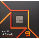 AMD Ryzen™ 9 7900X, Processor boxed