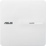 ASUS 90IG0880-MO3C00, Adgangspunktet 