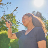 GARDENA Havesaks PremiumCut - Tørt træ grå/Turkis