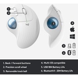 Logitech ERGO M575 for Business mus Højre hånd RF trådløs + Bluetooth Trackball 2000 dpi Lys grå/Blå, Højre hånd, Trackball, RF trådløs + Bluetooth, 2000 dpi, Hvid