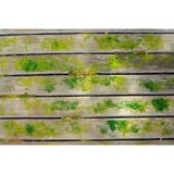 Ryobi Batterioverfladerenser 18Volt, Hårdt gulv rengøringsmiddel Grøn/Sort