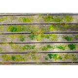 Ryobi RY18PCB-0, Hårdt gulv rengøringsmiddel Grøn/Sort