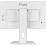 iiyama LED-skærm hvid (mat)