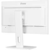iiyama XUB2497HSN-W2, LED-skærm hvid (mat)