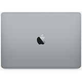 Apple Notebook grå