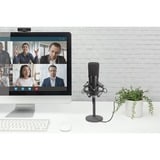 Digitus USB kondensatormikrofon, studie Sort