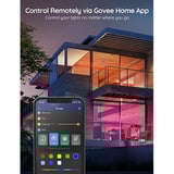 Govee RGB LED striplys 5 meter 