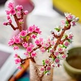 LEGO Kirsebærblomster Byggeklodser, Bygge legetøj Byggesæt, 8 År, Plast, 430 stk, 178 g