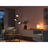 Philips Hue 929003573701, LED-lampe 