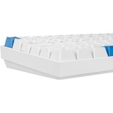 Sharkoon SKILLER SGK50 S3 PBT, Gaming-tastatur Hvid/Lyseblå, DE-layout, Gateron G Pro 3.0 Yellow