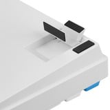 Sharkoon SKILLER SGK50 S3 PBT, Gaming-tastatur Hvid/Lyseblå, DE-layout, Gateron G Pro 3.0 Yellow