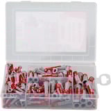 fischer Profi-Box DuoPower, Dyvel Lys grå/Rød