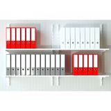 fischer SX Plus 6x30 PH TX, 567935, Dyvel Lys grå