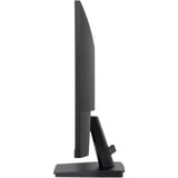 iiyama LED-skærm Sort (mat)