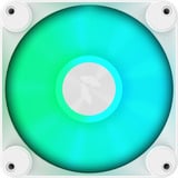 APNX APF3-PF11257.21, Sag fan Hvid